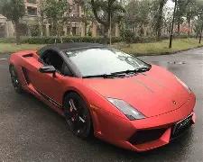 王一博韩红,携手助力郑,共抗灾情,大发彩票,大发彩票官方平台,大发彩票APP下载,大发彩票开奖结果,大发彩票正规