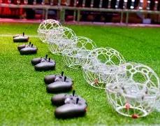 刘诗雯女乒,世界杯再获,冠军,大发彩票,大发彩票官方平台,大发彩票APP下载,大发彩票开奖结果,大发彩票正规