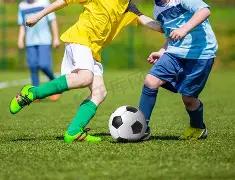 独门秘籍大,放送,双色球,大发彩票,大发彩票官方平台,大发彩票APP下载,大发彩票开奖结果,大发彩票正规