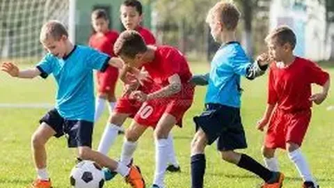 福原爱携新伴侣与密友欢聚，疑似已同居半日