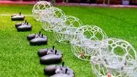 刘诗雯女乒世界杯再获冠军，击败朱雨玲实现五连冠