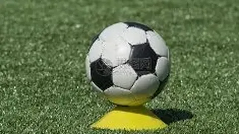 李光洁慷慨捐资50万 助力河南共克时艰