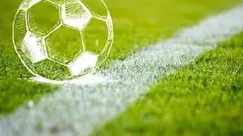 【双色奇缘】第25期预测大揭秘：凤尾独占鳌头，锁定双色球佳选28&32！🎉🎊