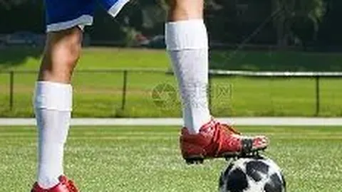 【凤翔九天·双色奇迹】2025年双色球第140期幸运彩池，独门秘籍揭晓：12红球+2蓝球，共享福运大奖！